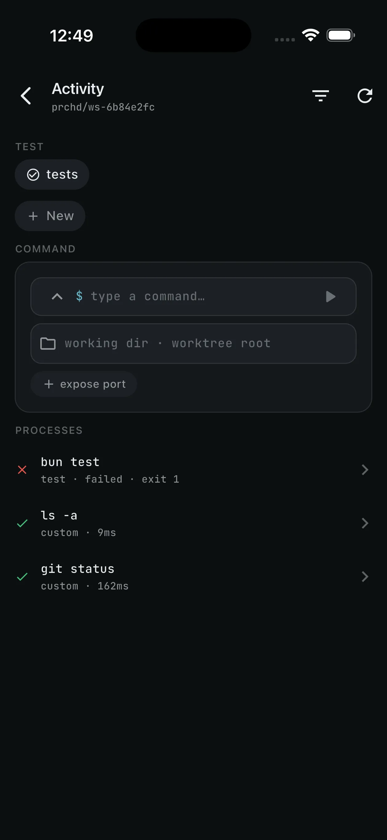 Project command buttons with a completed test result in the transcript