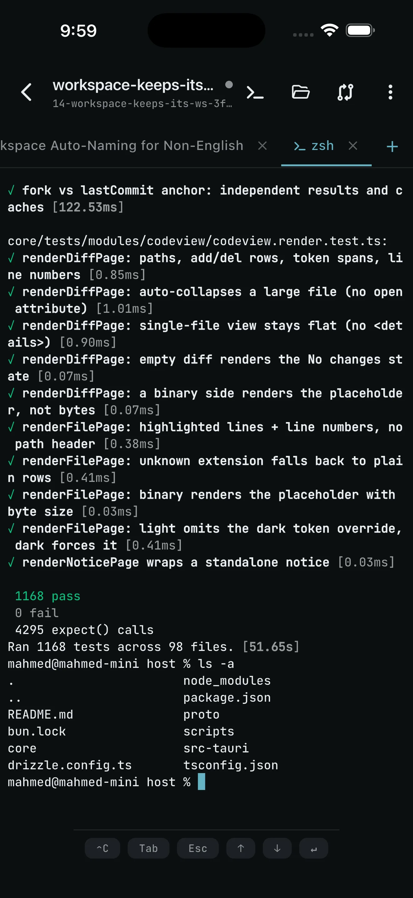 Real PTY beside an agent chat with ANSI output and the mobile key bar